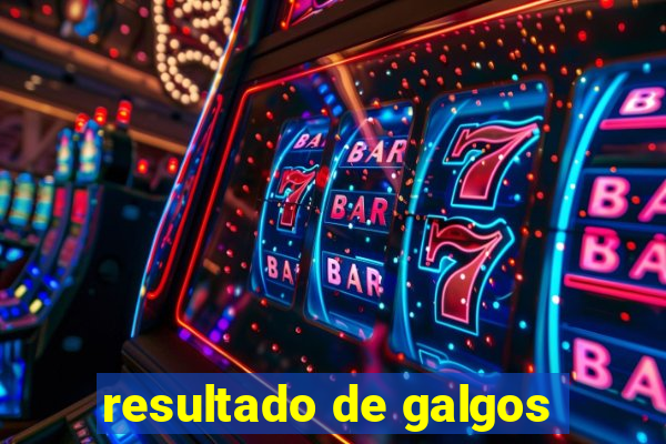 resultado de galgos